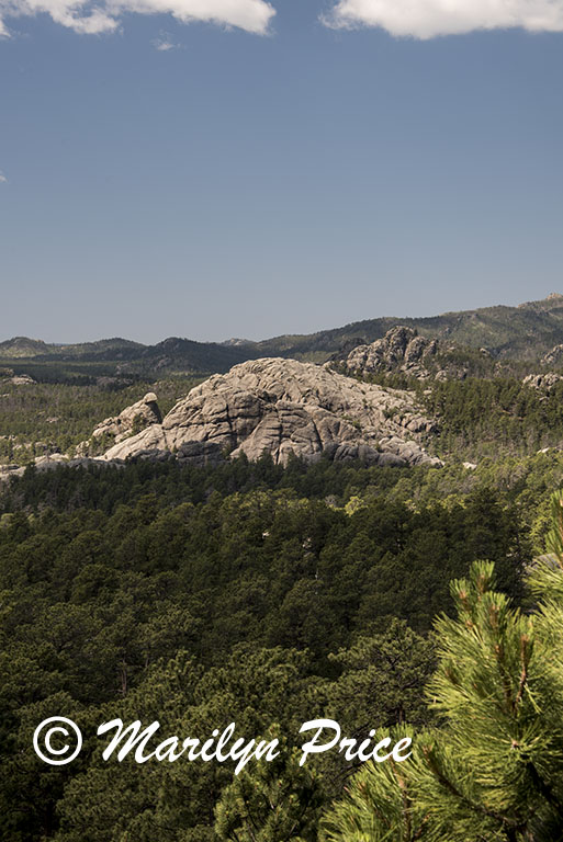 Iron Mountain Highway, Custer State Park, SD