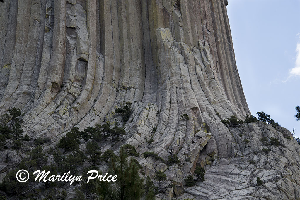 Devil's Tower, Devil's Tower National Monument, WY