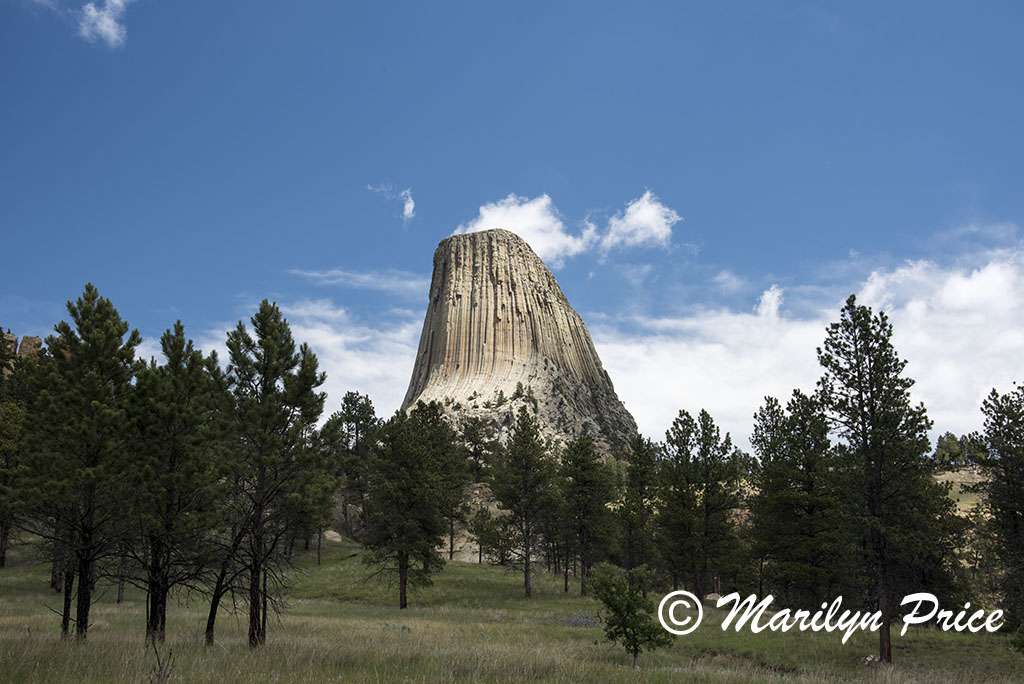 Devil's Tower, Devil's Tower National Monument, WY