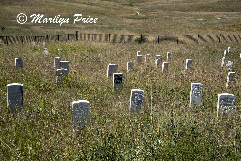 Markers where soldiers fell, Last Stand Hill, Little Bighorn Battlefield National Monument, MT