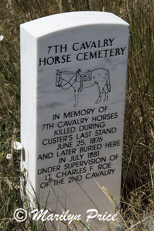 Horse cemetery marker, Little Bighorn Battlefield National Monument, MT