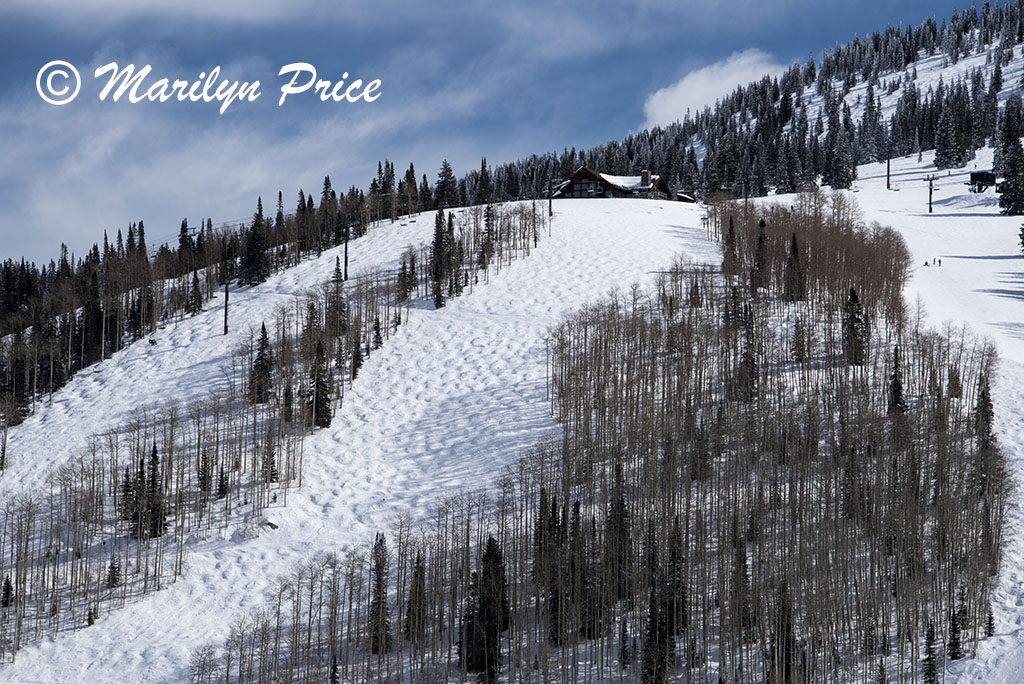 Four Points? at the top of a mogol field, Steamboat Springs, CO