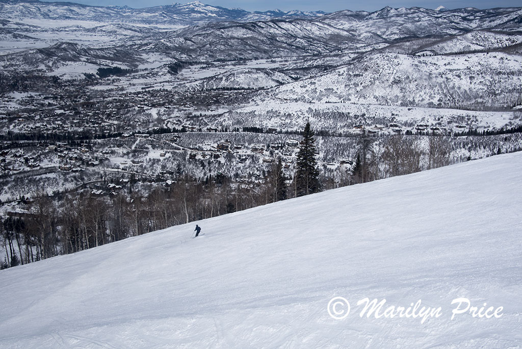 Skier on a ski run from a descending gondola, Steamboat Springs, CO