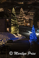 Trees strung with lights, Steamboat Springs, CO