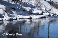 Reflections in a snowy Yampa River, Steamboat Springs, CO