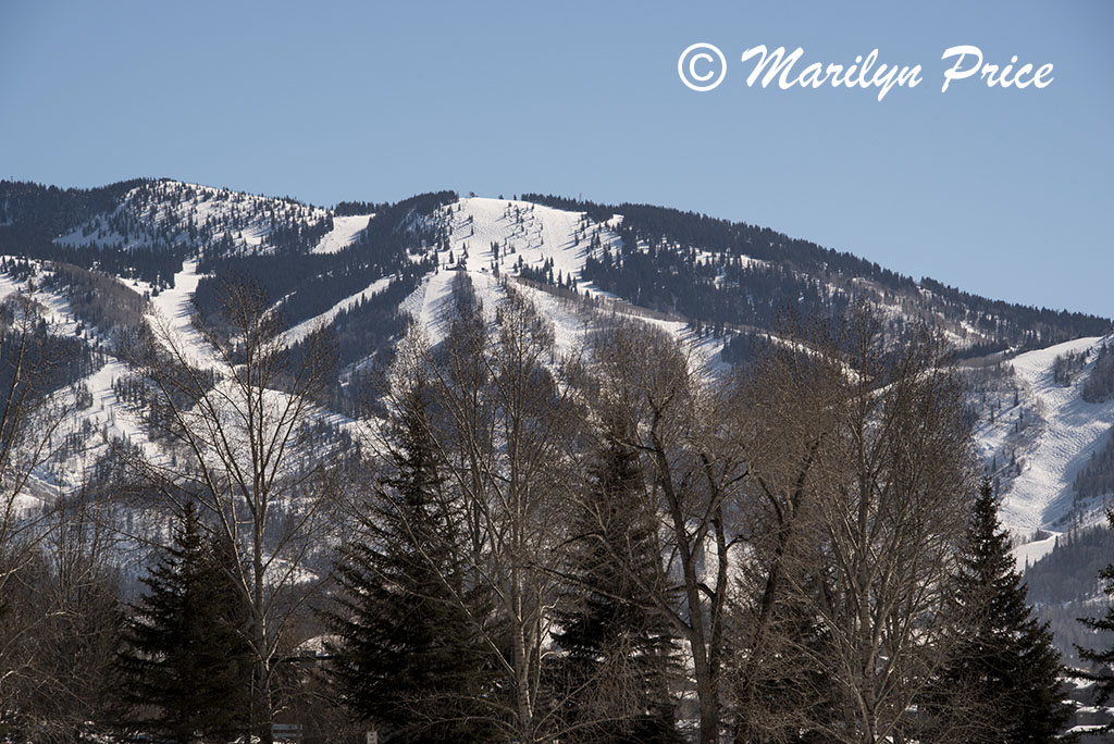 The ski area from West Lincoln Park, Steamboat Springs, CO