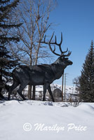 Statue of an elk, West Lincoln Park, Steamboat Springs, CO