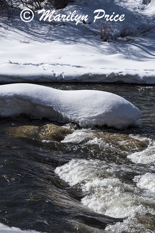 Snowy Yampa River, Steamboat Springs, CO