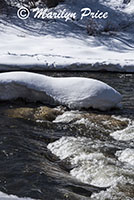 Snowy Yampa River, Steamboat Springs, CO