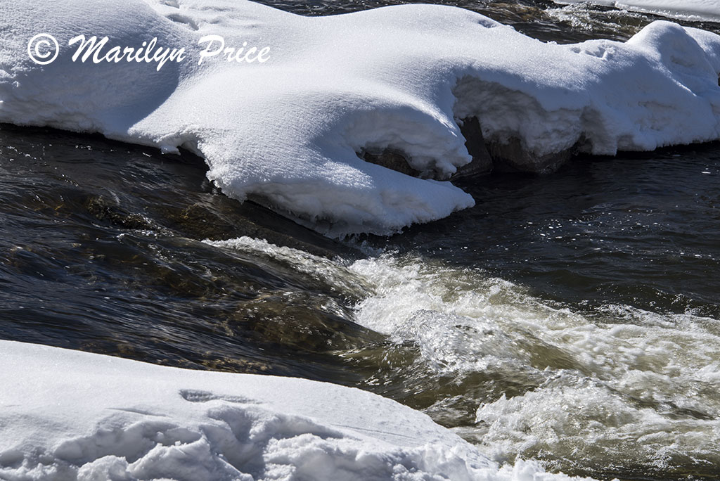 Snowy Yampa River, Steamboat Springs, CO