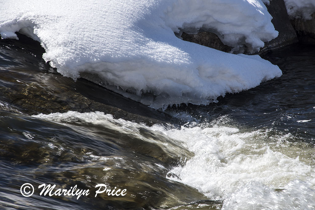 Snowy Yampa River, Steamboat Springs, CO