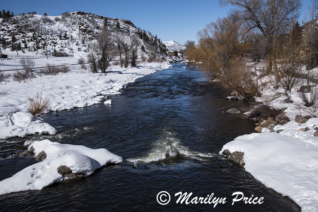 Snowy Yampa River, Steamboat Springs, CO