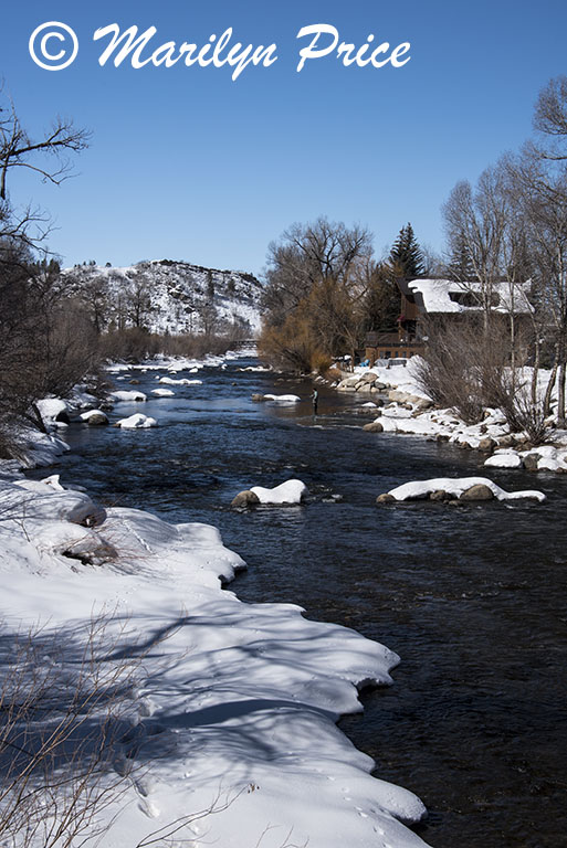 Snowy Yampa River, Steamboat Springs, CO