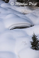 Snow and boulders, Fish Creek Falls area, Steamboat Springs, CO