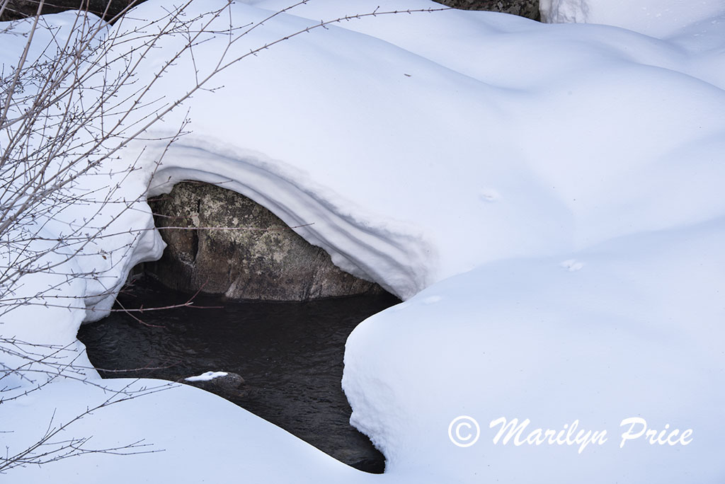 Snow and boulders, Fish Creek Falls area, Steamboat Springs, CO
