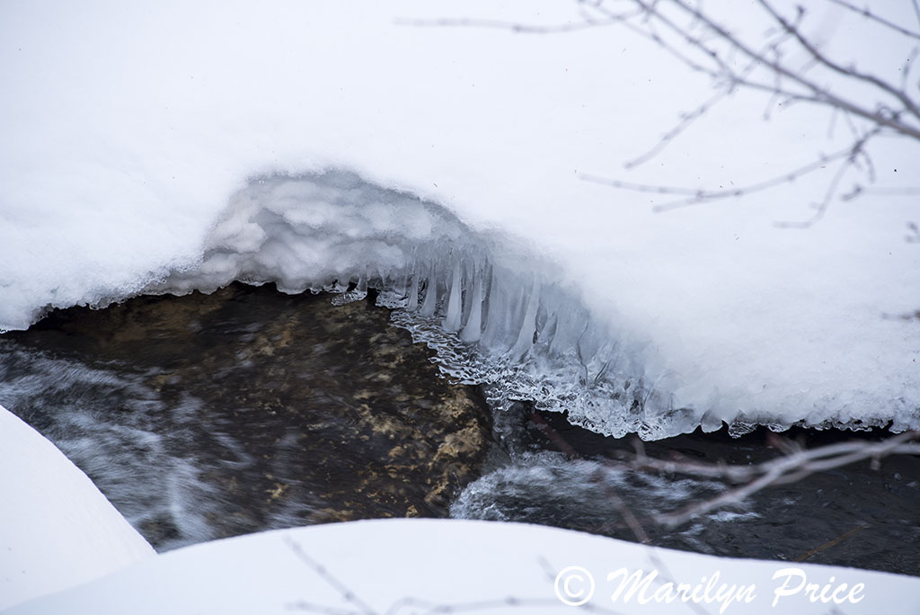 Snow and boulders, Fish Creek Falls area, Steamboat Springs, CO