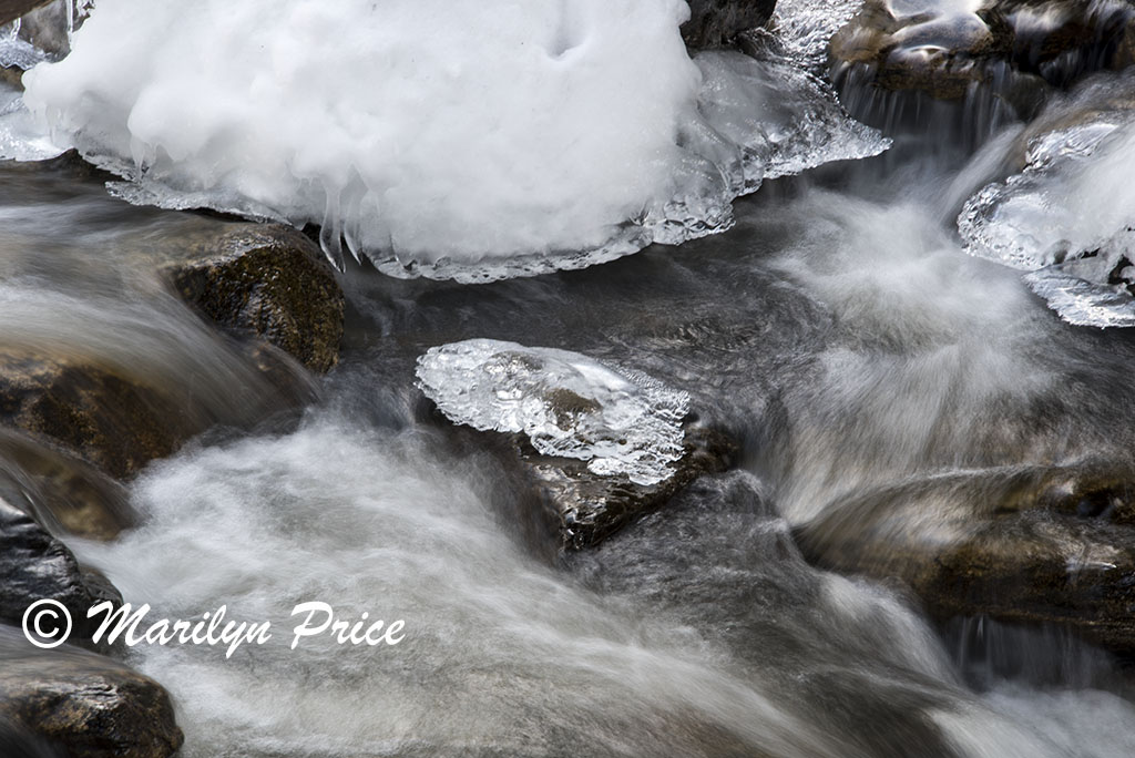Snow and Fish Creek, Fish Creek Falls area, Steamboat Springs, CO