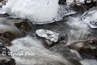 Snow and Fish Creek, Fish Creek Falls area, Steamboat Springs, CO