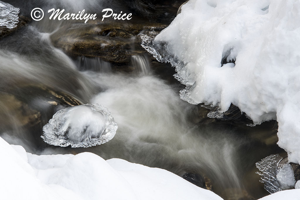 Snow and Fish Creek, Fish Creek Falls area, Steamboat Springs, CO