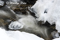 Snow and Fish Creek, Fish Creek Falls area, Steamboat Springs, CO