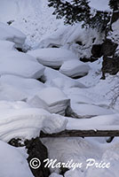Snow and boulders, Fish Creek Falls area, Steamboat Springs, CO