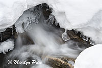 Snow and Fish Creek, Fish Creek Falls area, Steamboat Springs, CO