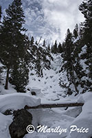 Fish Creek Falls, Steamboat Springs, CO