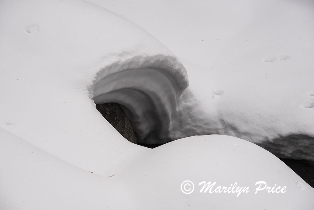 Snow and Fish Creek, Fish Creek Falls area, Steamboat Springs, CO