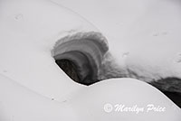 Snow and Fish Creek, Fish Creek Falls area, Steamboat Springs, CO