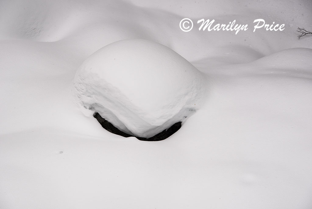 Snow and boulders, Fish Creek Falls area, Steamboat Springs, CO