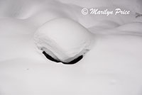 Snow and boulders, Fish Creek Falls area, Steamboat Springs, CO
