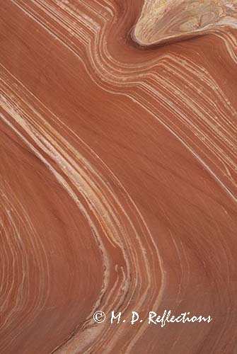 Patterns in sandstone, Paria-Vermillion Cliffs Wilderness Area, AZ