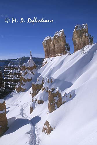 On Queen's Garden Trail, Bryce Canyon National Park, UT