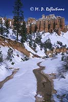 Snowy creek, Mossy Cave Trail, Bryce Canyon National Park, UT