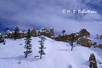 'Dragon', Mossy Cave Trail, Bryce Canyon National Park, UT