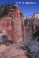 Scout Lookout, Zion National Park, UT