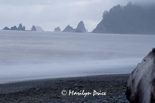 Rialto Beach, Olympic National Park, WA