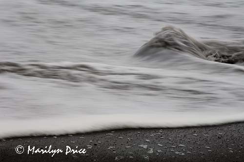 Rock and wave, Rialto Beach, Olympic National Park, WA
