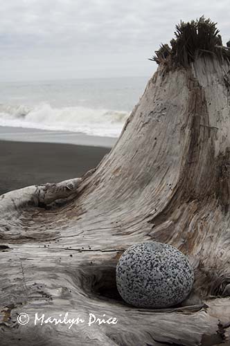 Driftwood and rock, Rialto Beach, Olympic National Park, WA