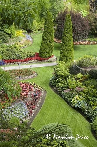 Flowerbeds of the Sunken Gardens, Butchart Gardens, Victoria, BC