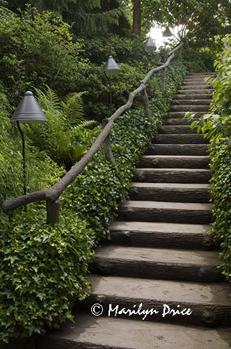 Stairs, Japanese Garden, Butchart Gardens, Victoria, BC