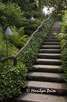 Stairs, Japanese Garden, Butchart Gardens, Victoria, BC