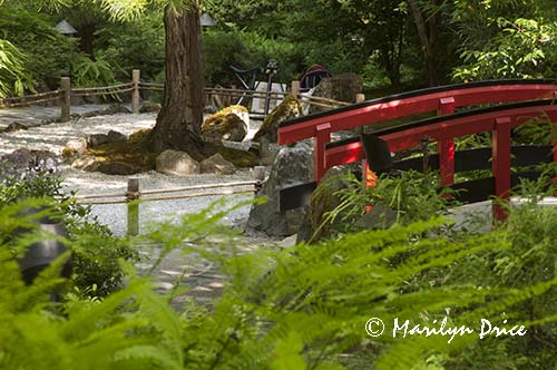 Red bridge and contemplation garden, Japanese Gardens, Butchart Gardens, Victoria, BC