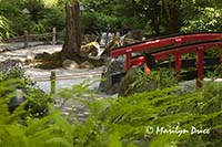 Red bridge and contemplation garden, Japanese Gardens, Butchart Gardens, Victoria, BC