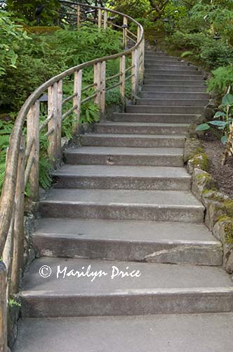 Stairs, Japanese Garden, Butchart Gardens, Victoria, BC