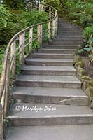 Stairs, Japanese Garden, Butchart Gardens, Victoria, BC