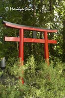 Gate at the entrance to the Japanese Gardens, Butchart Gardens, Victoria, BC