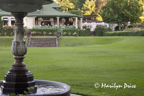 Formal lawn section of the Italian Gardens and the dining room, Butchart Gardens, Victoria, BC