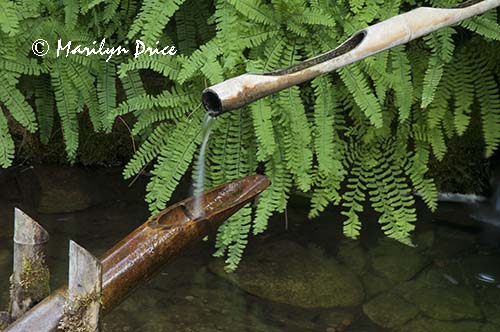 Boar scarer or garden clacker, Japanese Gardens, Butchart Gardens, Victoria, BC