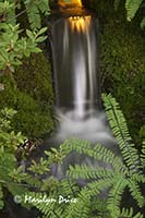 Lighted small waterfall, Japanese Gardens, Butchart Gardens, Victoria, BC